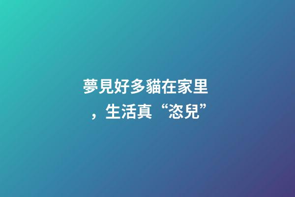 夢見好多貓在家里，生活真“恣兒”-第1張-觀點-玄機派